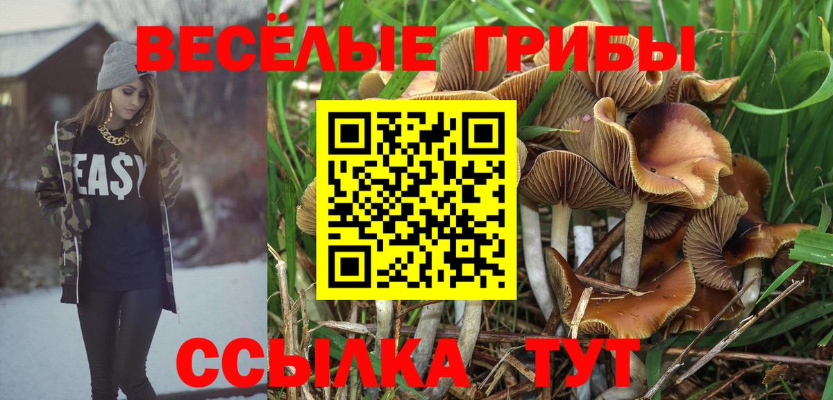 Галлюциногенные грибы мицелий Кандалакша