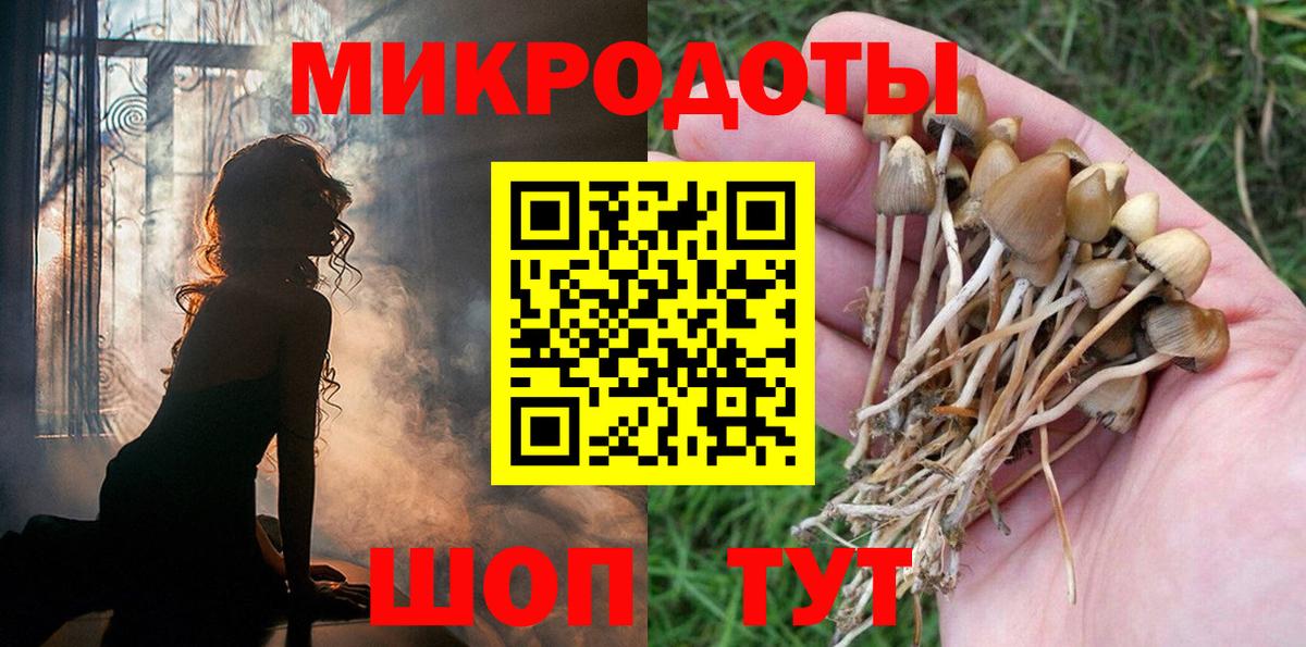 Псилоцибиновые грибы GOLDEN TEACHER  Вход с VPN  Псилоцибиновые грибы мицелий  Кандалакша 